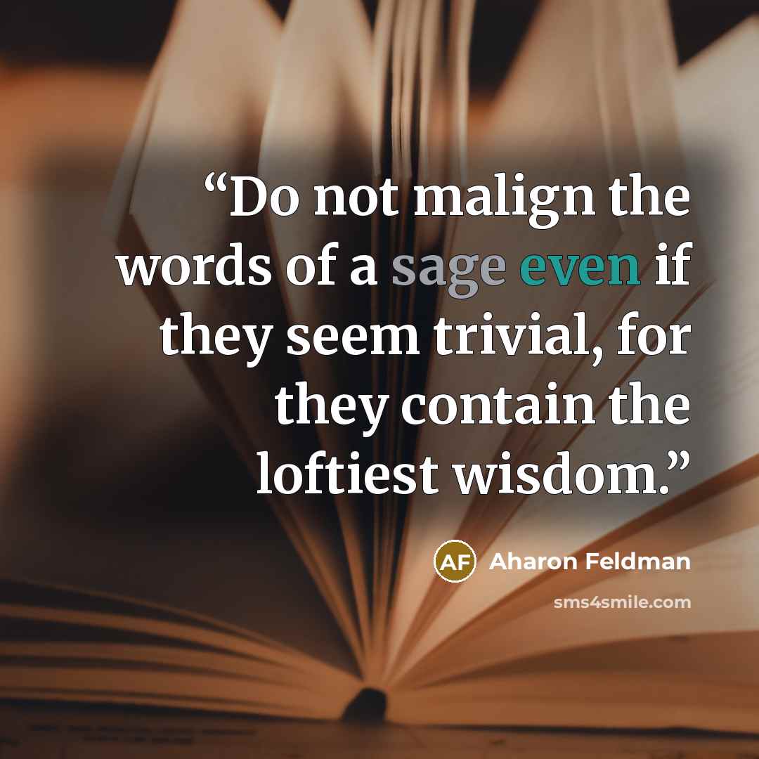 “Do not malign the words of a sage even if they seem trivial, for they contain the loftiest wisdom.” quote by Aharon Feldman