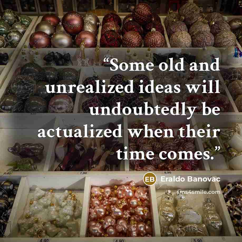“Some old and unrealized ideas will undoubtedly be actualized when their time comes.” quote by Eraldo Banovac