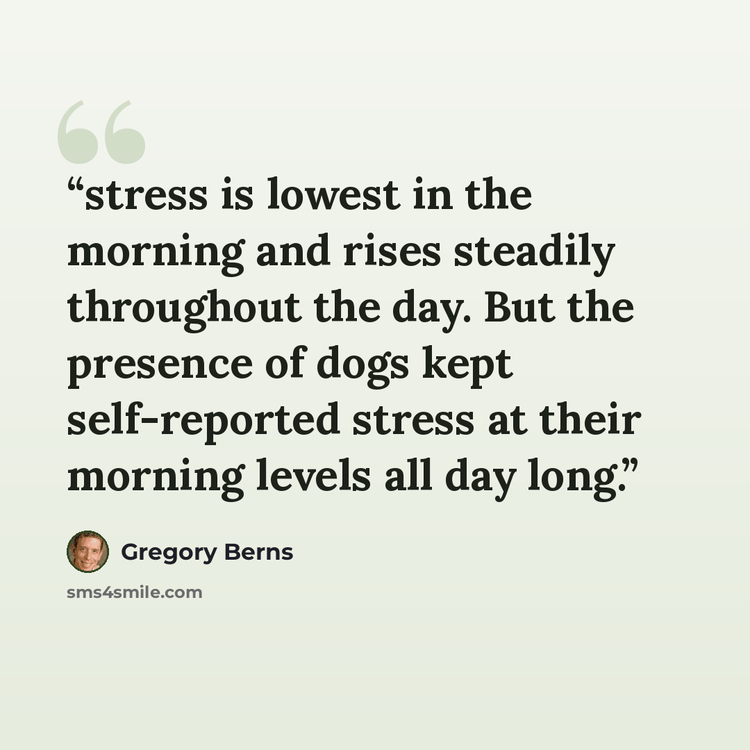 “stress is lowest in the morning and rises steadily throughout the day. But the presence of dogs kept self-reported stress at their morning levels all day long.” quote by Gregory Berns