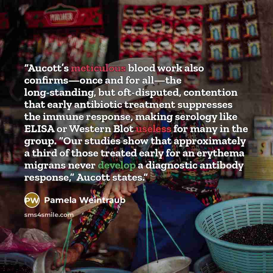 “Aucott’s meticulous blood work also confirms—once and for all—the long-standing, but oft-disputed, contention that early antibiotic treatment suppresses the immune response, making serology like ELISA or Western Blot useless for many in the group. “Our studies show that approximately a third of…” quote by Pamela Weintraub
