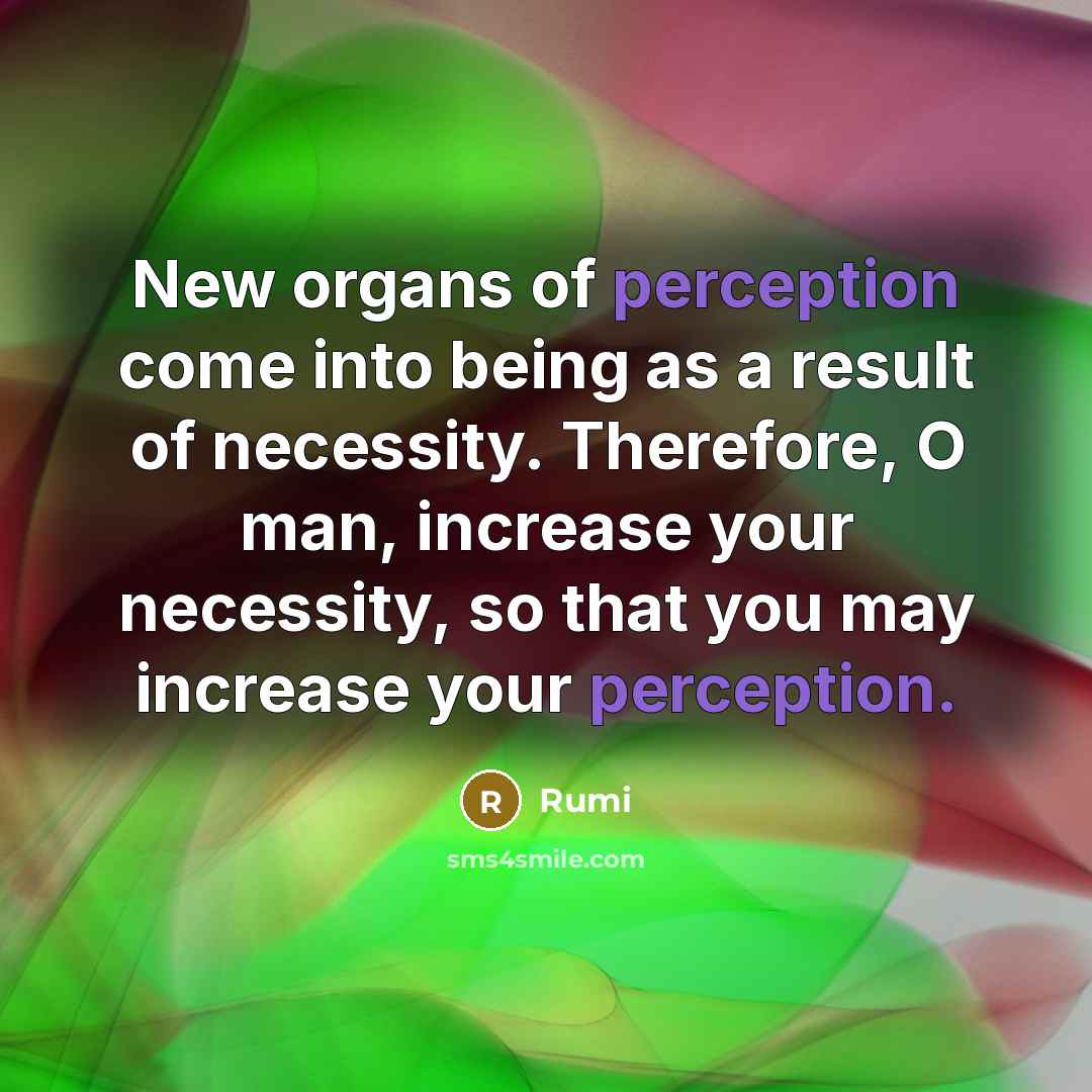 “New organs of perception come into being as a result of necessity. Therefore, O man, increase your necessity, so that you may increase your perception.” quote by Rumi