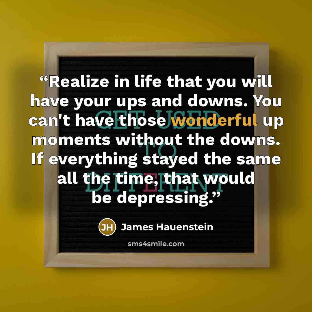“Realize in life that you will have your ups and downs. You can't have those wonderful up moments without the downs. If everything stayed the same all the time, that would be depressing.” quote by James Hauenstein