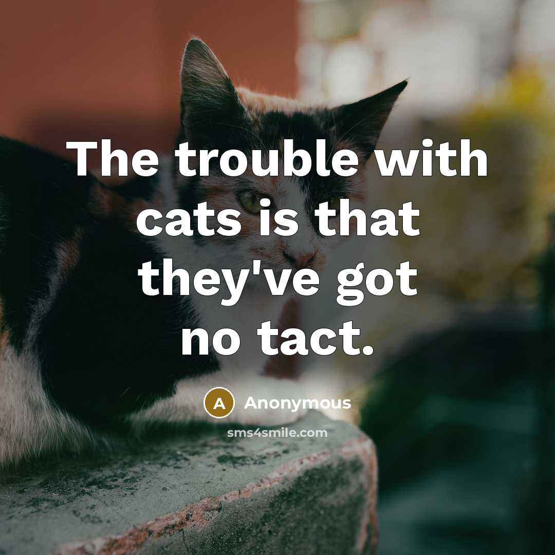 “The trouble with cats is that they've got no tact.” quote by Anonymous