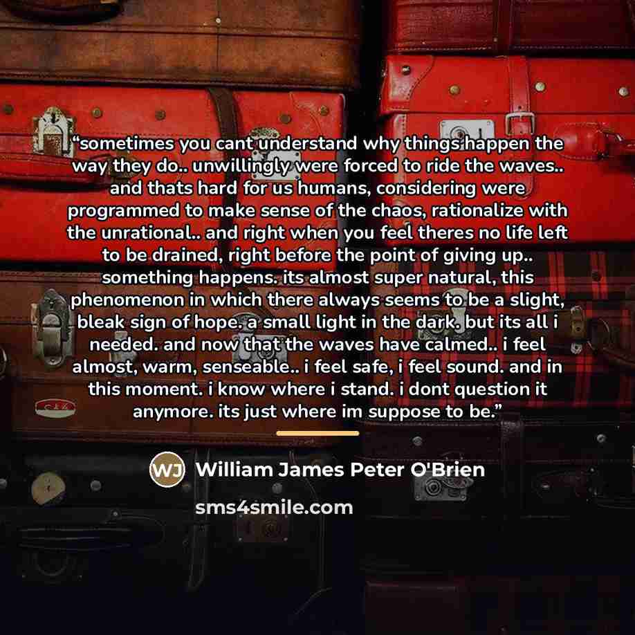 “sometimes you cant understand why things happen the way they do.. unwillingly were forced to ride the waves.. and thats hard for us humans, considering were programmed to make sense of the chaos, rationalize with the unrational.. and right when you feel theres no life left to be drained, right…” quote by William James Peter O'Brien