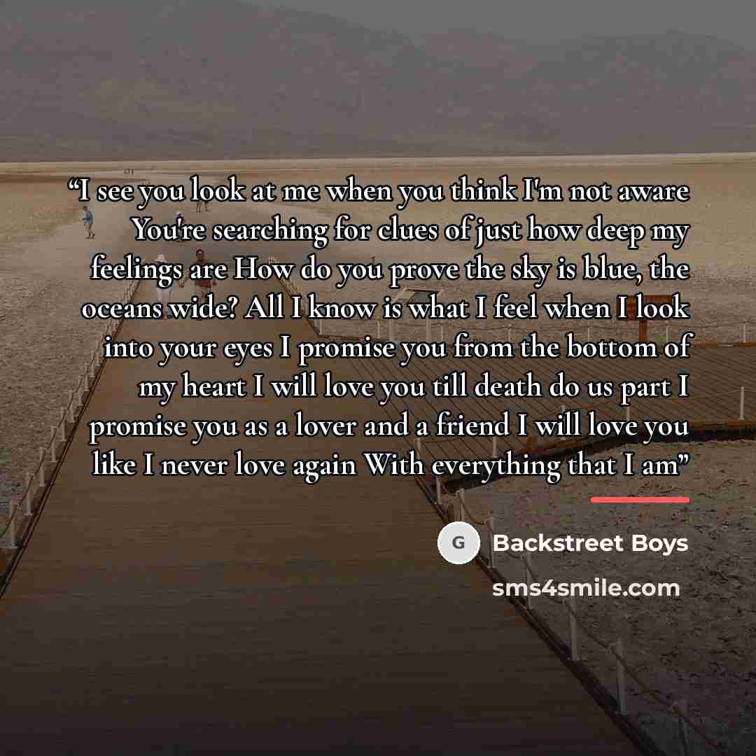 “I see you look at me when you think I'm not aware You're searching for clues of just how deep my feelings are How do you prove the sky is blue, the oceans wide? All I know is what I feel when I look into your eyes I promise you from the bottom of my heart I will love you till death do us part I…” quote by Backstreet Boys