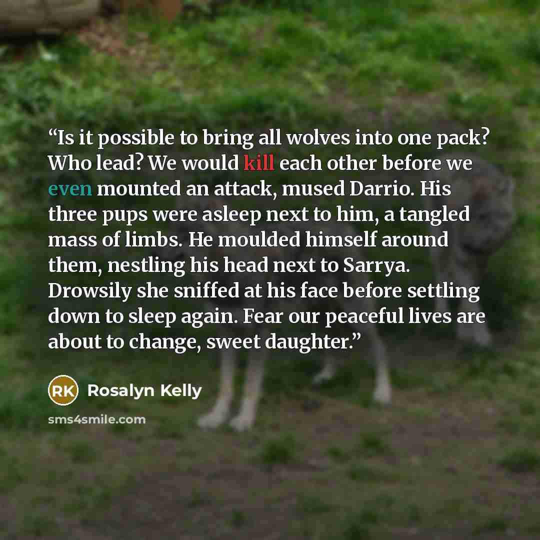 “Is it possible to bring all wolves into one pack? Who lead? We would kill each other before we even mounted an attack, mused Darrio. His three pups were asleep next to him, a tangled mass of limbs. He moulded himself around them, nestling his head next to Sarrya. Drowsily she sniffed at his face…” quote by Rosalyn Kelly
