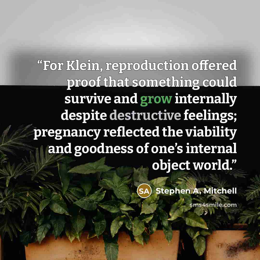 “For Klein, reproduction offered proof that something could survive and grow internally despite destructive feelings; pregnancy reflected the viability and goodness of one’s internal object world.” quote by Stephen A. Mitchell