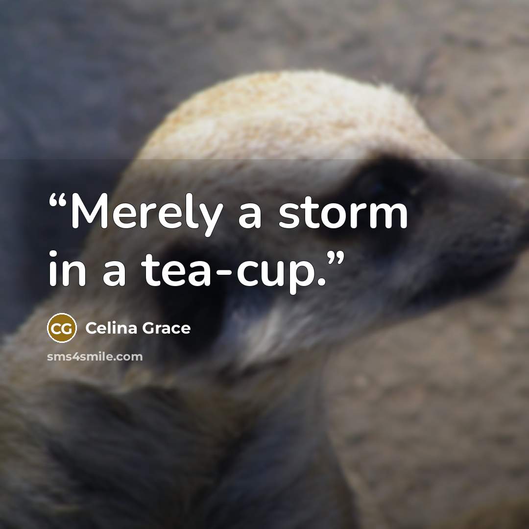“Merely a storm in a tea-cup.” quote by Celina Grace