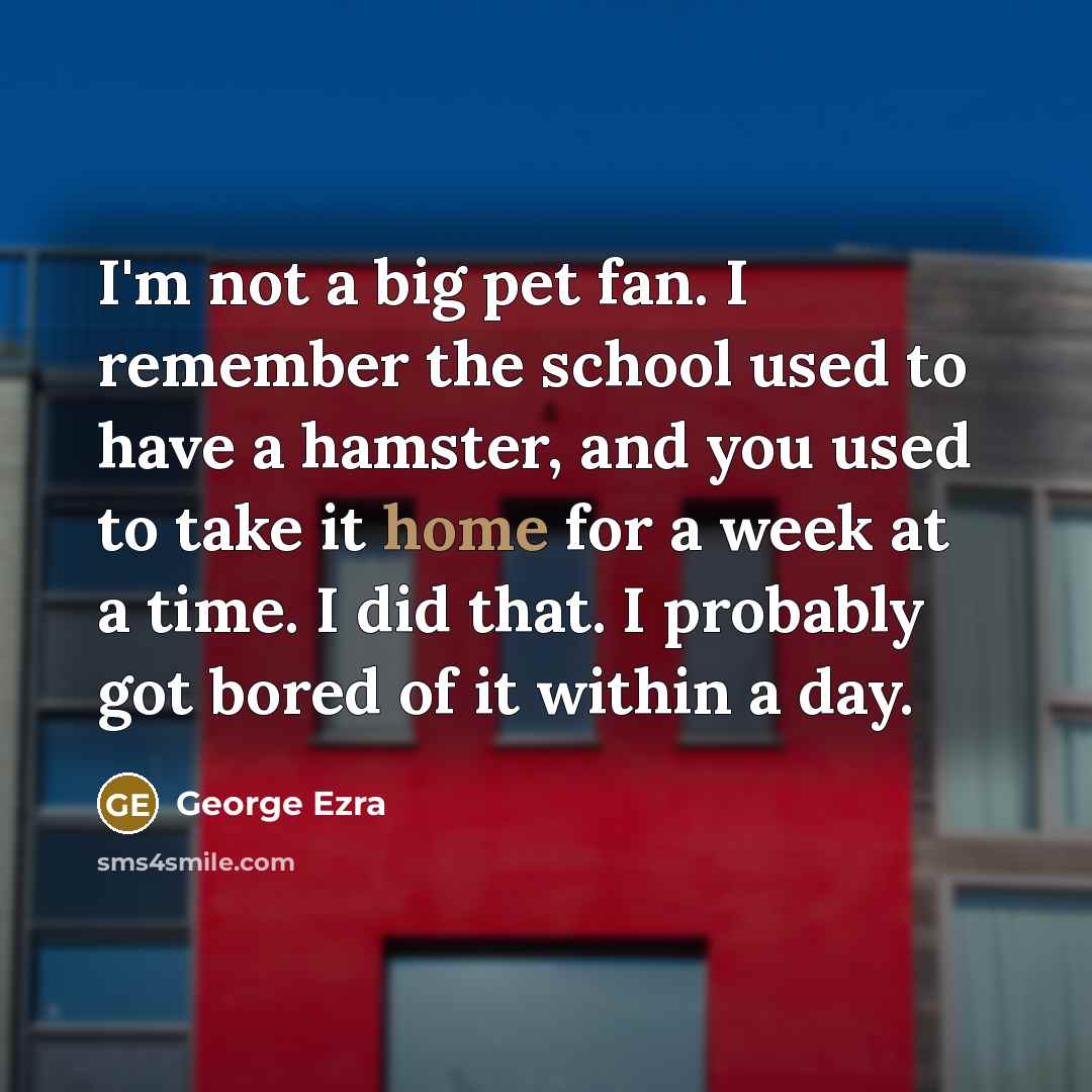 “I'm not a big pet fan. I remember the school used to have a hamster, and you used to take it home for a week at a time. I did that. I probably got bored of it within a day.” quote by George Ezra