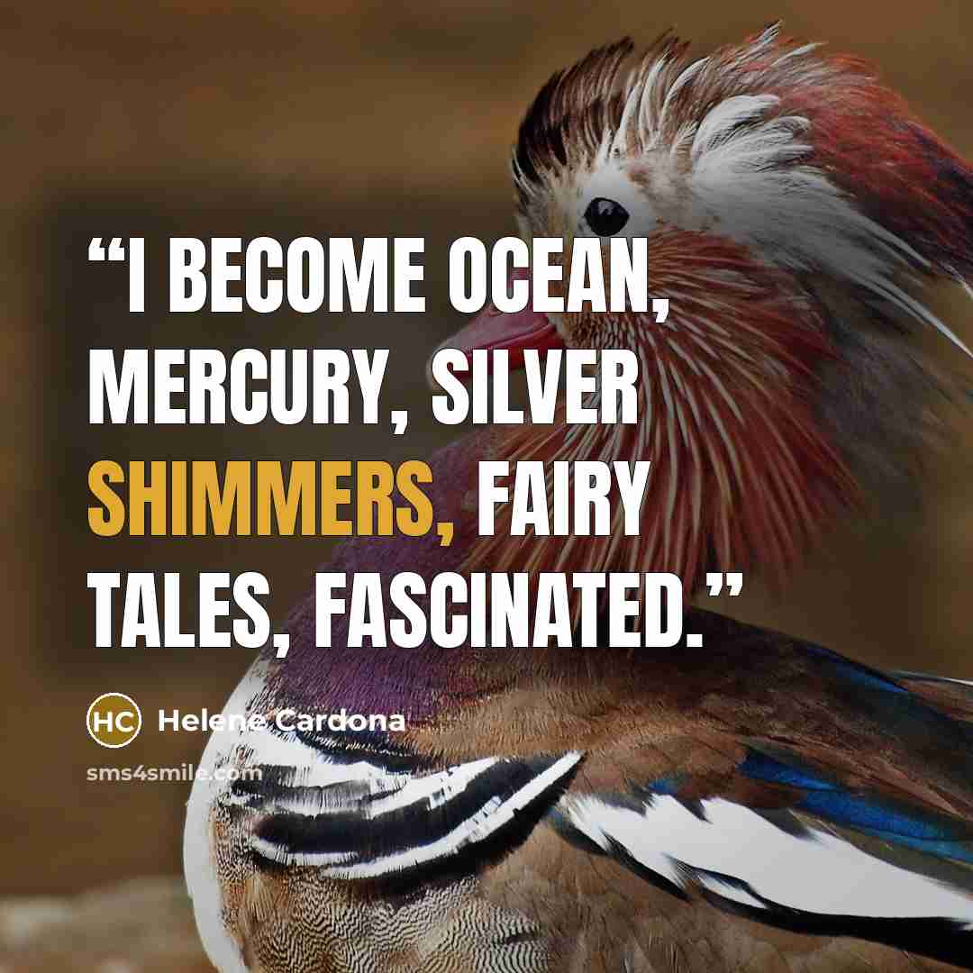 “I become ocean, mercury, silver shimmers, fairy tales, fascinated.” quote by Helene Cardona