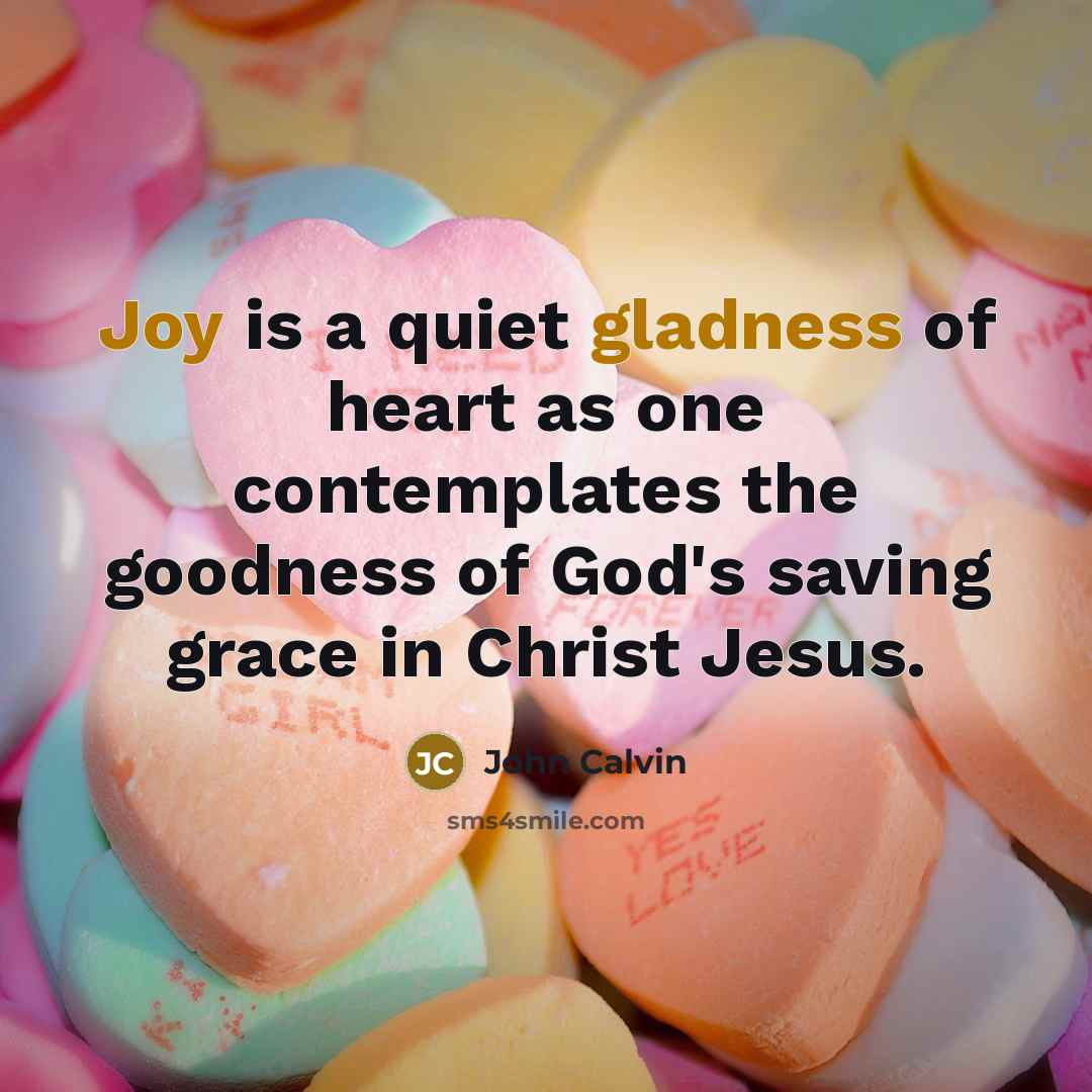 “Joy is a quiet gladness of heart as one contemplates the goodness of God's saving grace in Christ Jesus.” quote by John Calvin