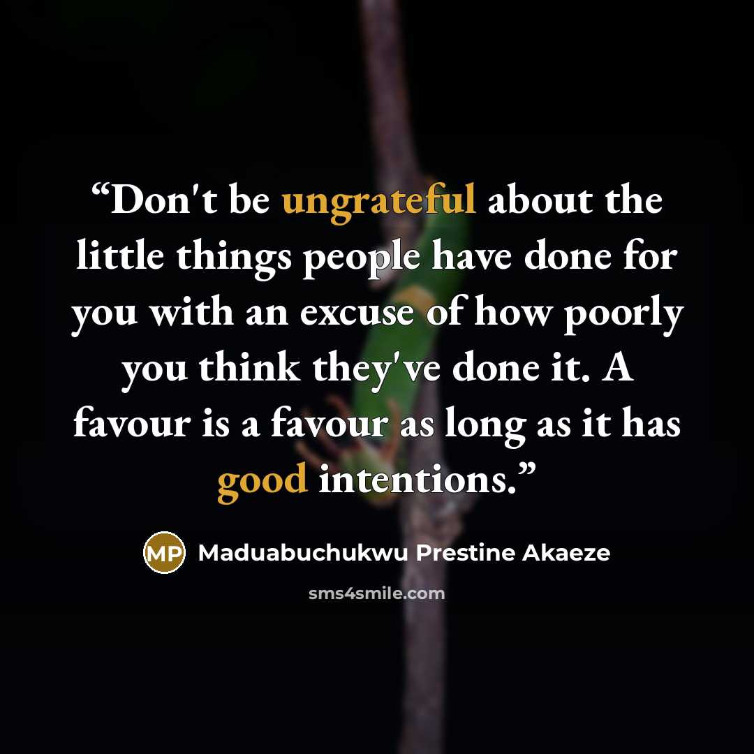 “Don't be ungrateful about the little things people have done for you with an excuse of how poorly you think they've done it. A favour is a favour as long as it has good intentions.” quote by Maduabuchukwu Prestine Akaeze