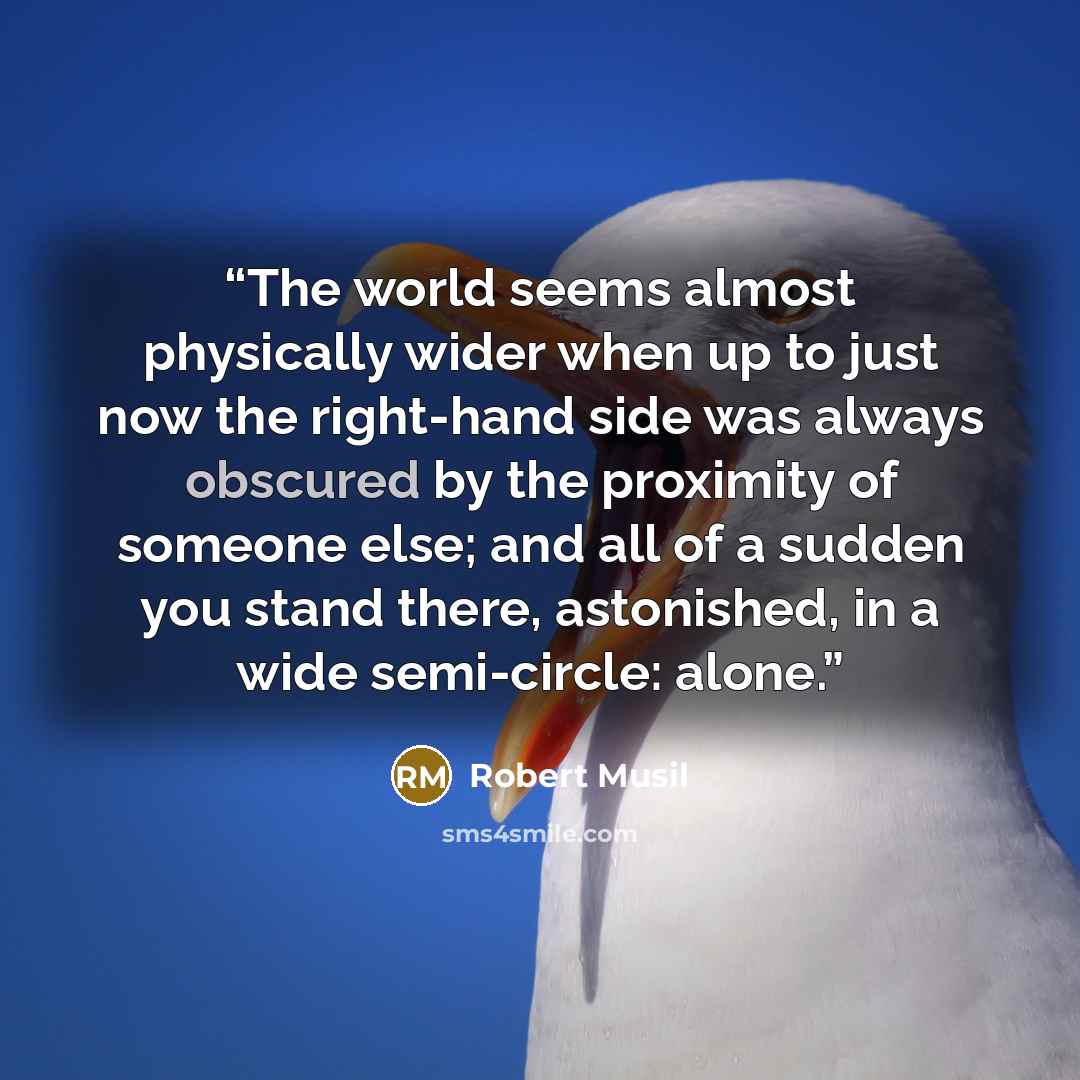 “The world seems almost physically wider when up to just now the right-hand side was always obscured by the proximity of someone else; and all of a sudden you stand there, astonished, in a wide semi-circle: alone.” quote by Robert Musil