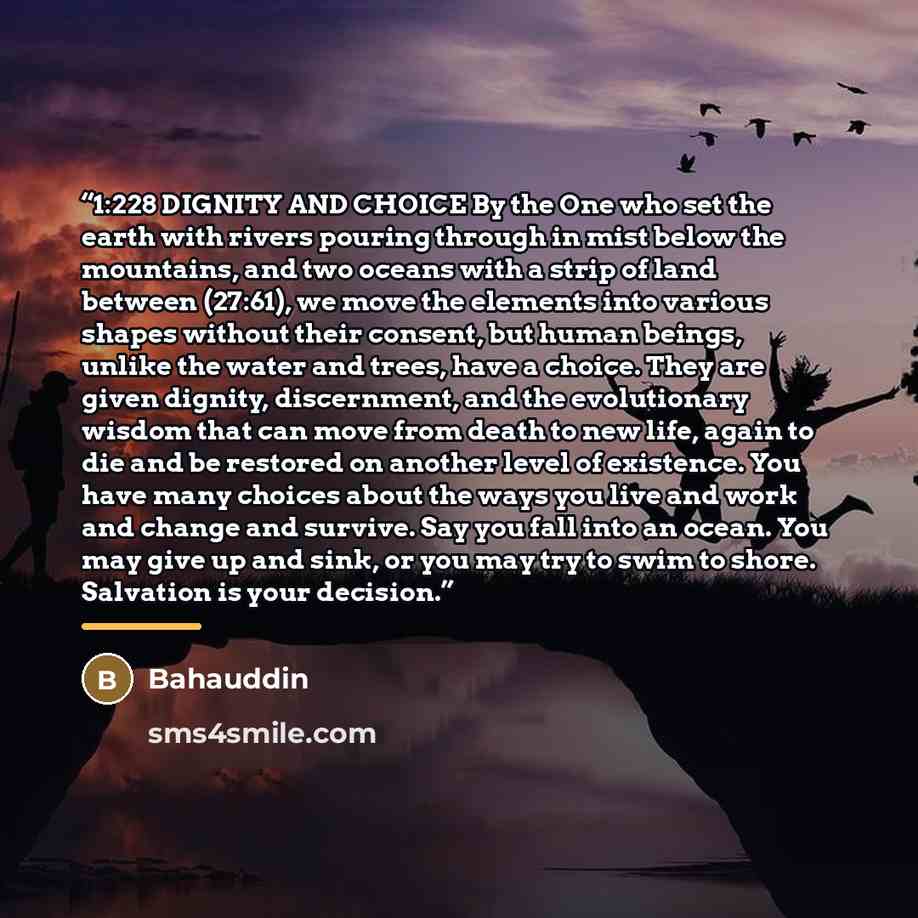 “1:228 DIGNITY AND CHOICE By the One who set the earth with rivers pouring through in mist below the mountains, and two oceans with a strip of land between (27:61), we move the elements into various shapes without their consent, but human beings, unlike the water and trees, have a choice. They are…” quote by Bahauddin