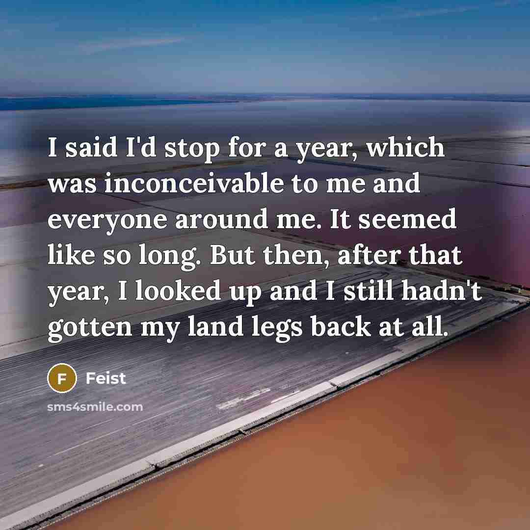 “I said I'd stop for a year, which was inconceivable to me and everyone around me. It seemed like so long. But then, after that year, I looked up and I still hadn't gotten my land legs back at all.” quote by Feist
