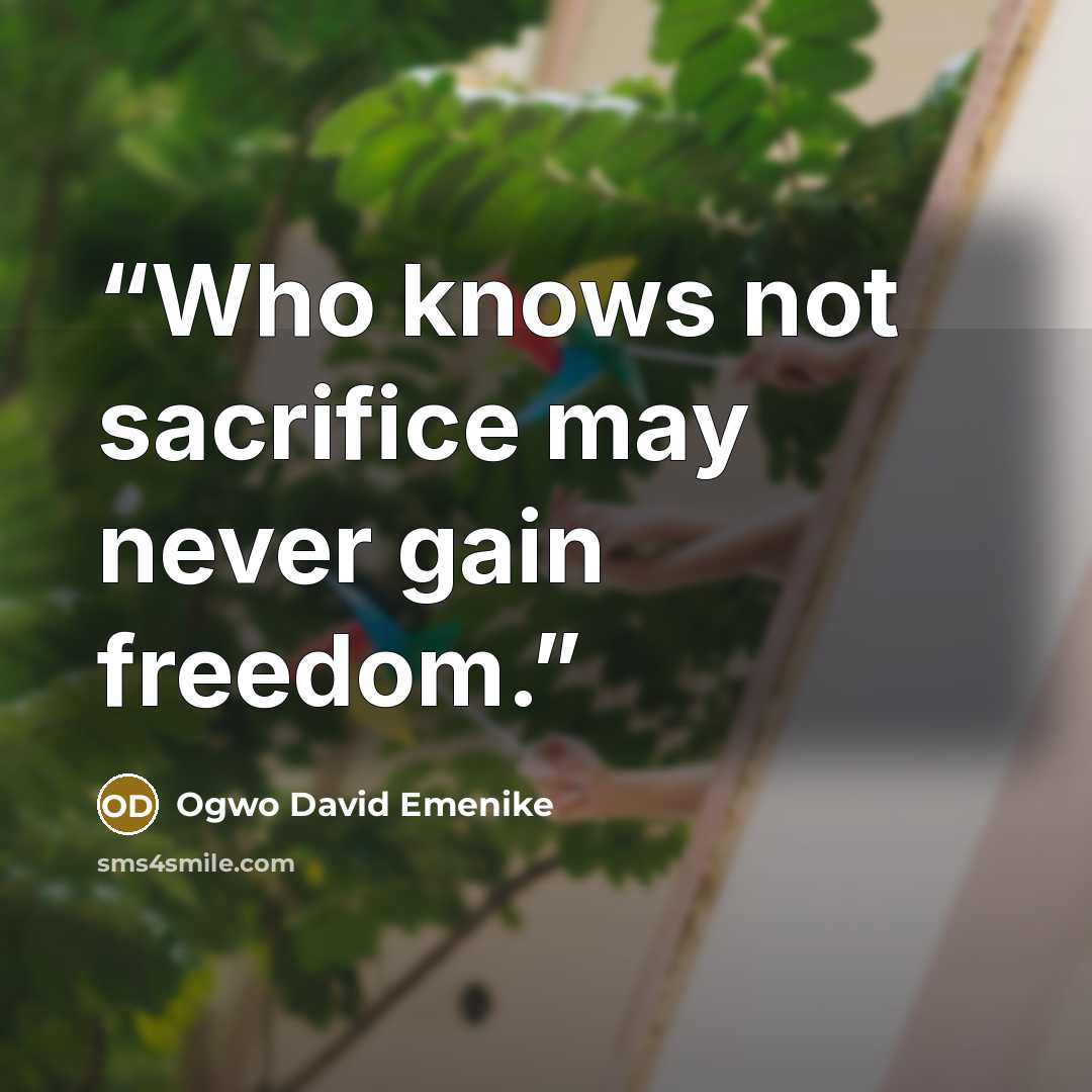 “Who knows not sacrifice may never gain freedom.” quote by Ogwo David Emenike
