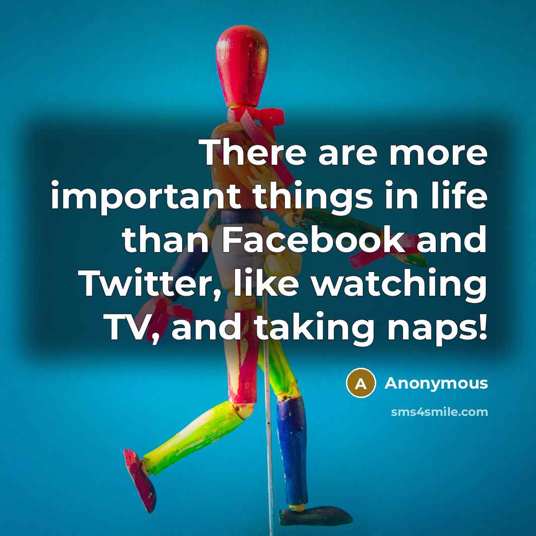 “There are more important things in life than Facebook and Twitter, like watching TV, and taking naps!” quote by Anonymous