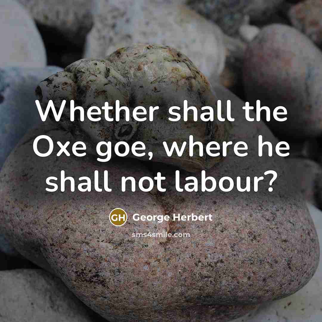 “Whether shall the Oxe goe, where he shall not labour?” quote by George Herbert