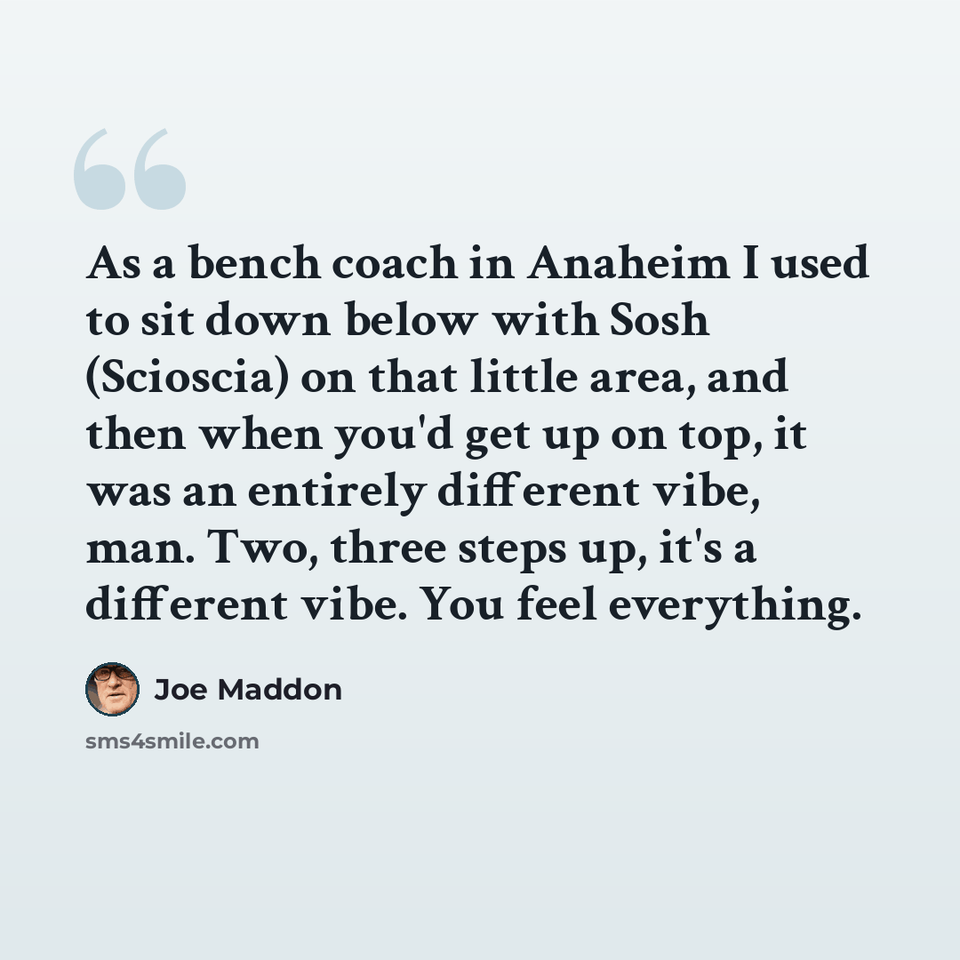 “As a bench coach in Anaheim I used to sit down below with Sosh (Scioscia) on that little area, and then when you'd get up on top, it was an entirely different vibe, man. Two, three steps up, it's a different vibe. You feel everything.” quote by Joe Maddon