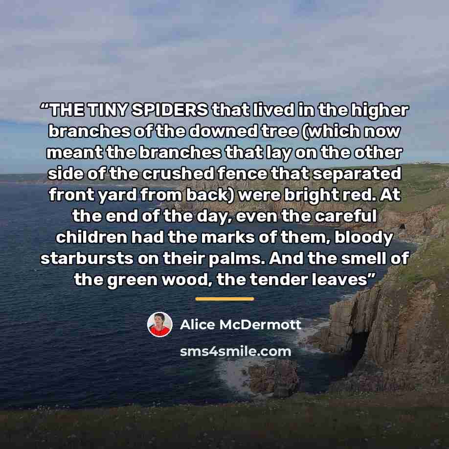 “THE TINY SPIDERS that lived in the higher branches of the downed tree (which now meant the branches that lay on the other side of the crushed fence that separated front yard from back) were bright red. At the end of the day, even the careful children had the marks of them, bloody starbursts on…” quote by Alice McDermott