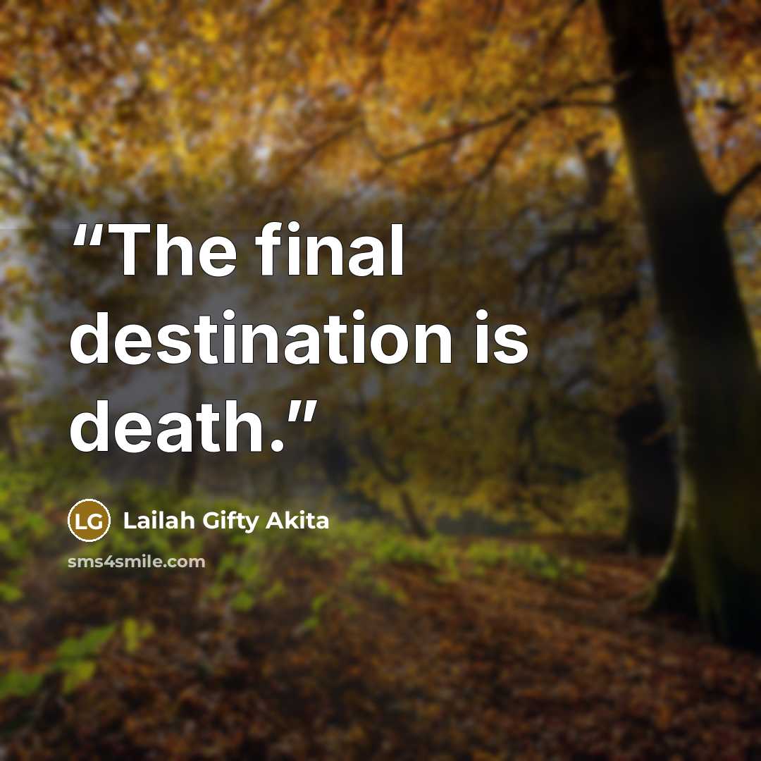 “The final destination is death.” quote by Lailah Gifty Akita