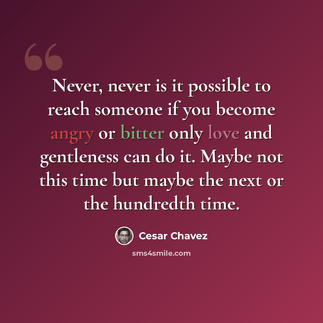 “Never, never is it possible to reach someone if you become angry or bitter only love and gentleness can do it. Maybe not this time but maybe the next or the hundredth time.” quote by Cesar Chavez