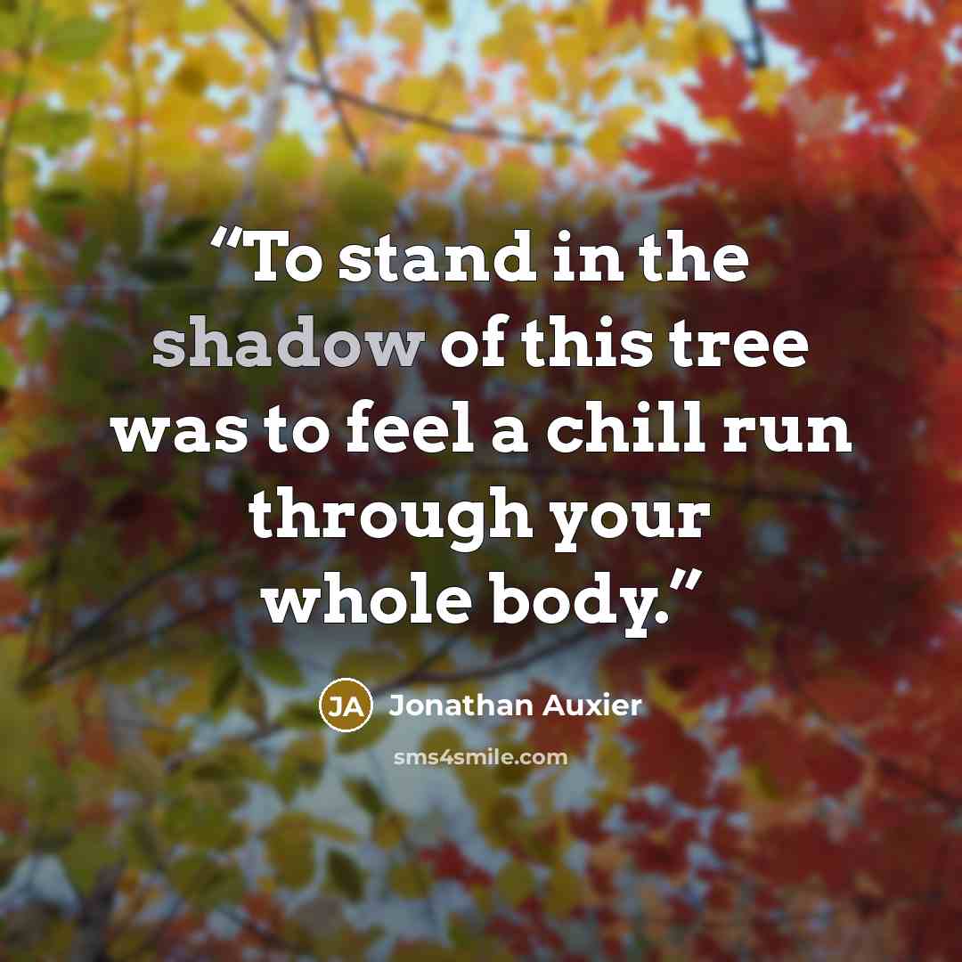 “To stand in the shadow of this tree was to feel a chill run through your whole body.” quote by Jonathan Auxier