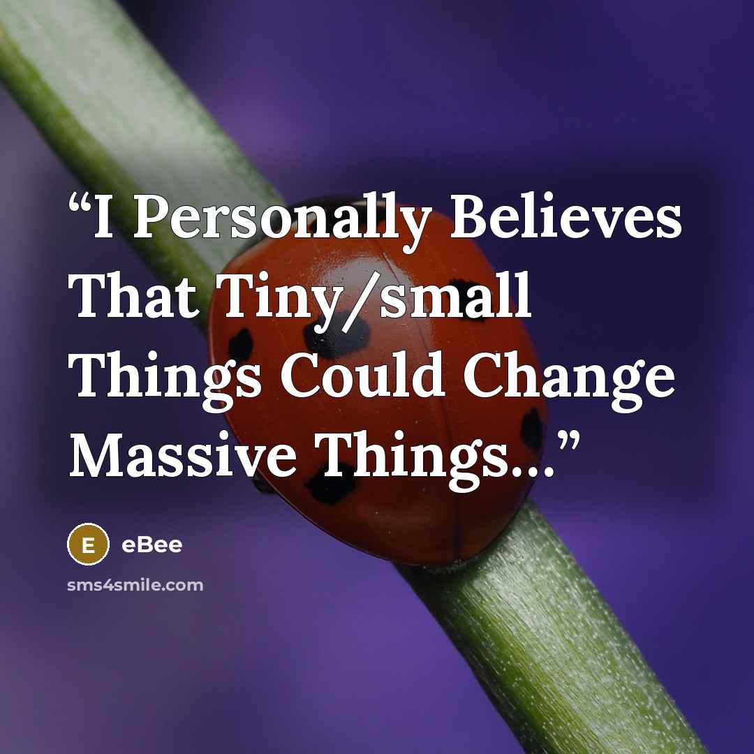 “I Personally Believes That Tiny/small Things Could Change Massive Things…” quote by eBee