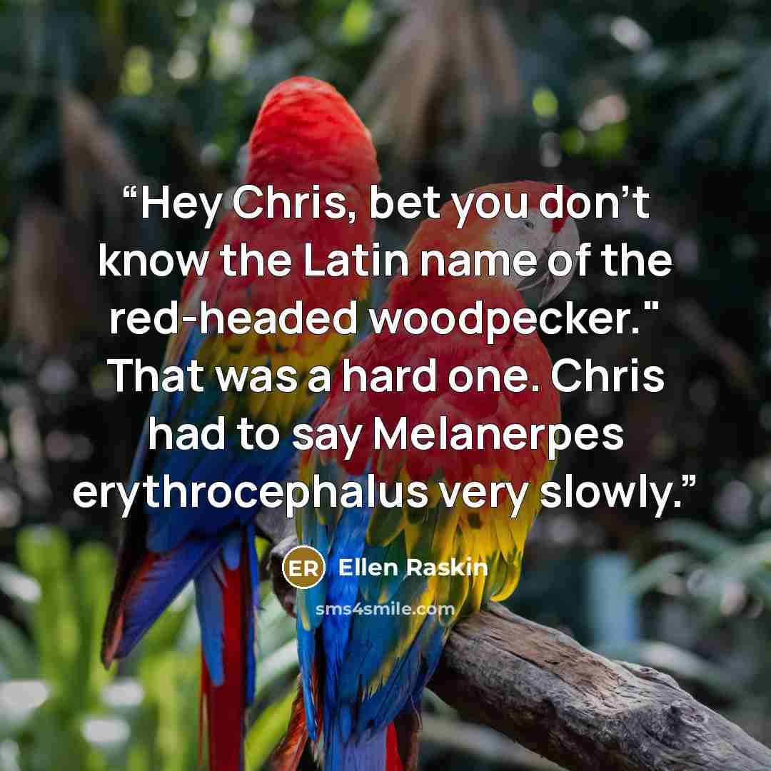 “Hey Chris, bet you don't know the Latin name of the red-headed woodpecker." That was a hard one. Chris had to say Melanerpes erythrocephalus very slowly.” quote by Ellen Raskin