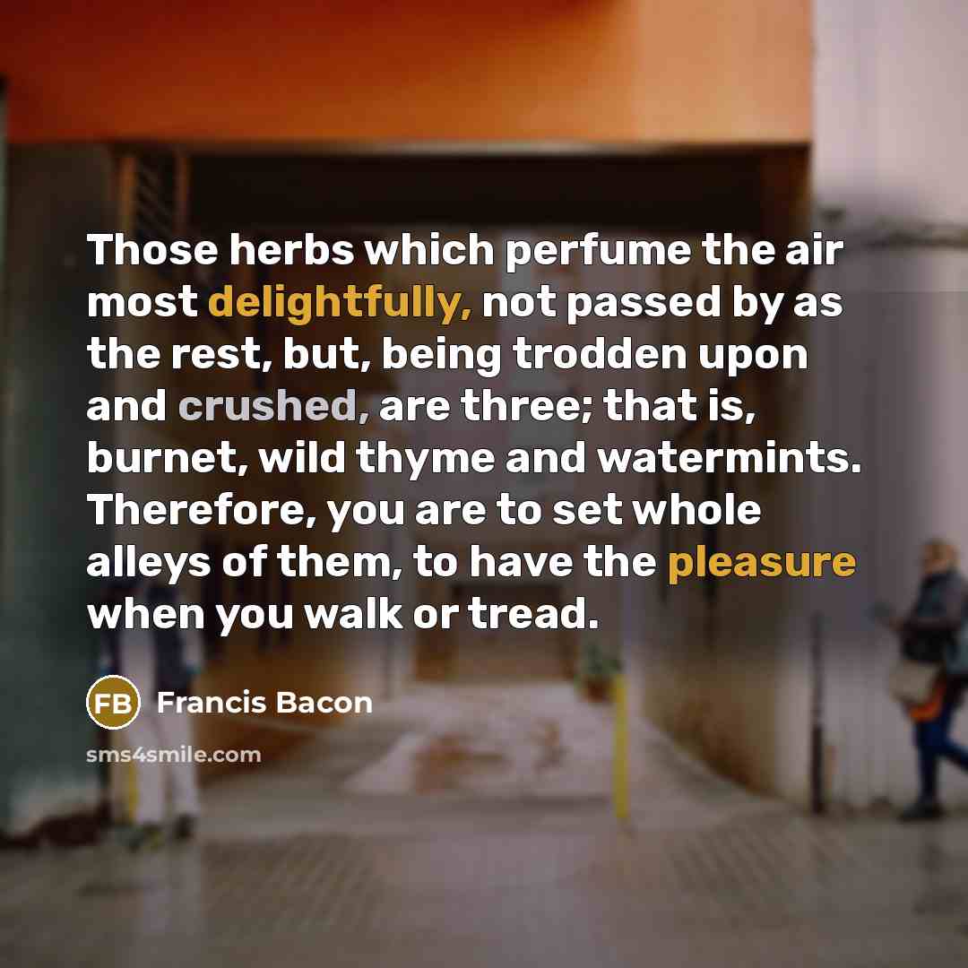 “Those herbs which perfume the air most delightfully, not passed by as the rest, but, being trodden upon and crushed, are three; that is, burnet, wild thyme and watermints. Therefore, you are to set whole alleys of them, to have the pleasure when you walk or tread.” quote by Francis Bacon