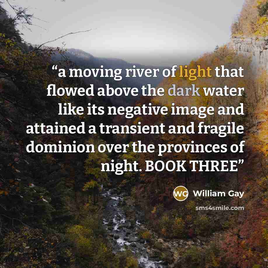 “a moving river of light that flowed above the dark water like its negative image and attained a transient and fragile dominion over the provinces of night. BOOK THREE” quote by William Gay