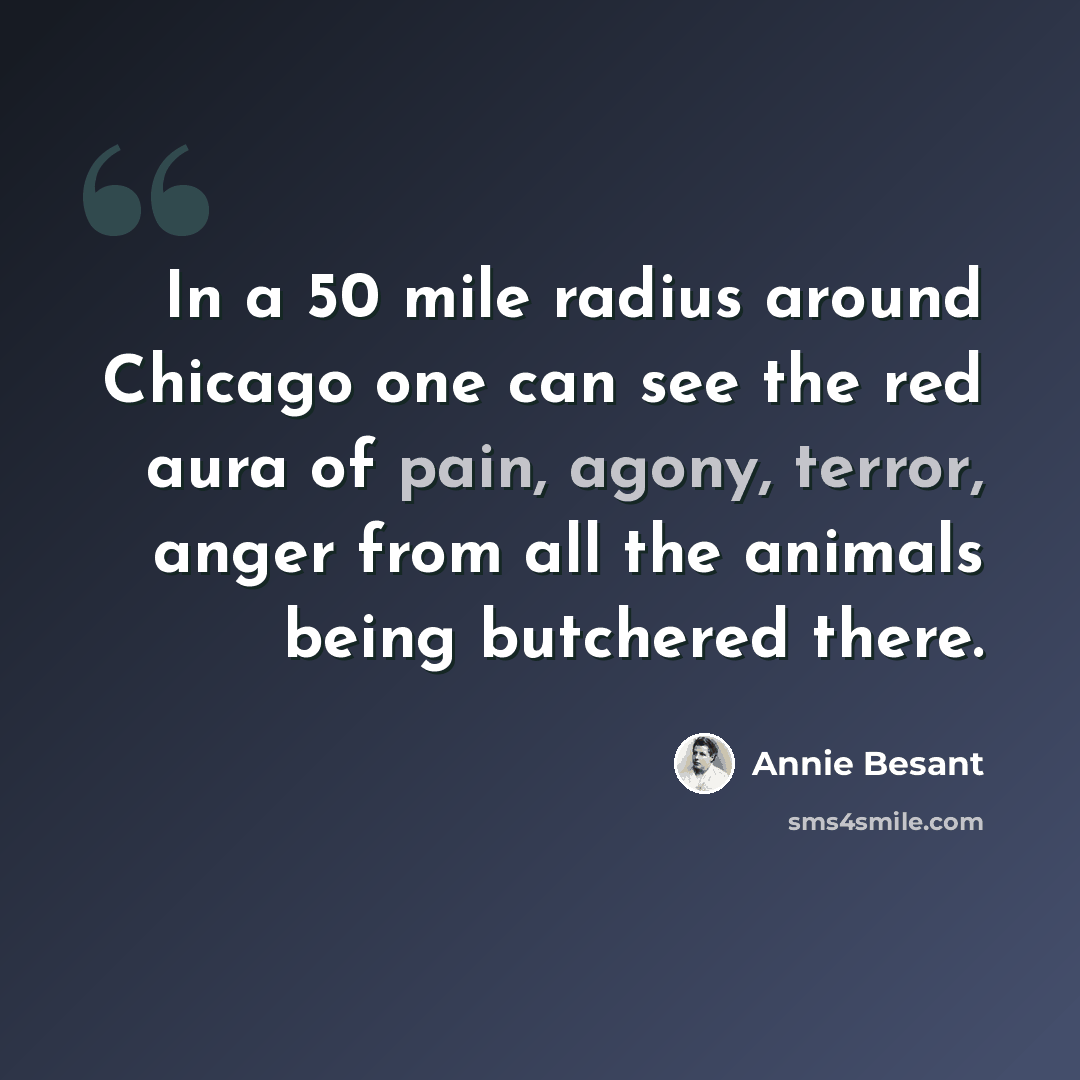 “In a 50 mile radius around Chicago one can see the red aura of pain, agony, terror, anger from all the animals being butchered there.” quote by Annie Besant