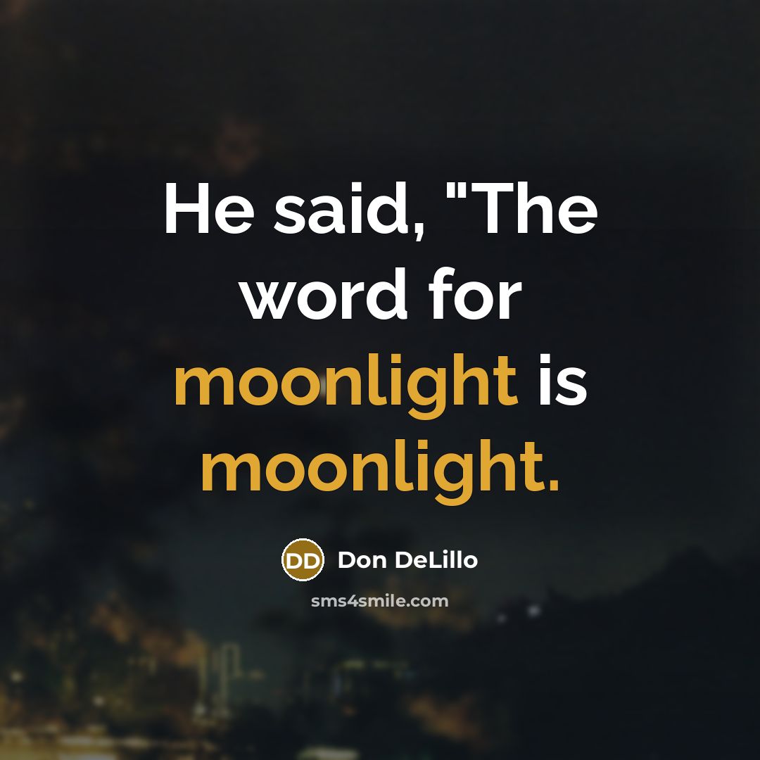 “He said, "The word for moonlight is moonlight.” quote by Don DeLillo