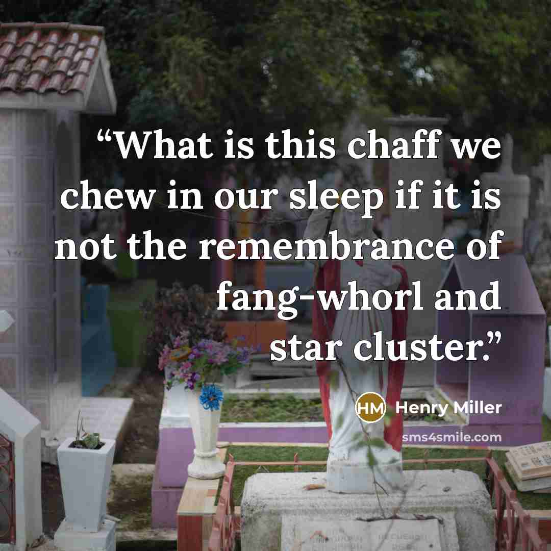 “What is this chaff we chew in our sleep if it is not the remembrance of fang-whorl and star cluster.” quote by Henry Miller