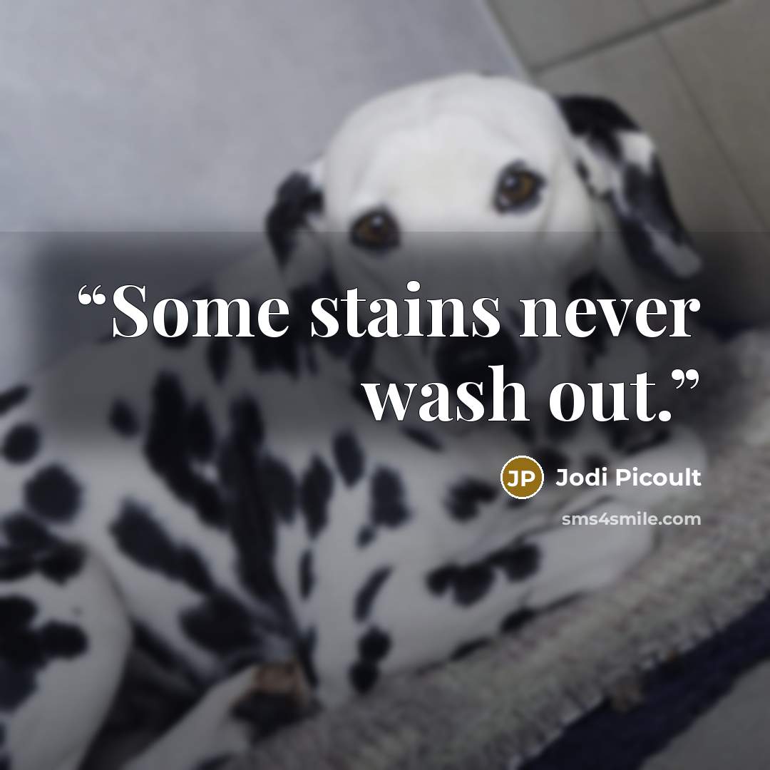 “Some stains never wash out.” quote by Jodi Picoult