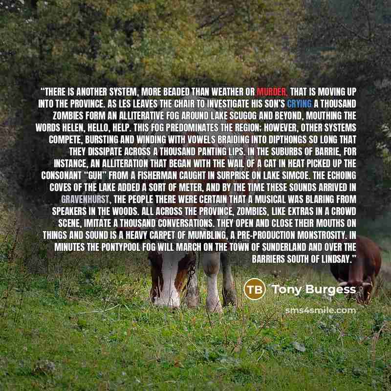 “There is another system, more beaded than weather or murder, that is moving up into the province. As Les leaves the chair to investigate his son’s crying a thousand zombies form an alliterative fog around Lake Scugog and beyond, mouthing the words Helen, hello, help. This fog predominates the…” quote by Tony Burgess