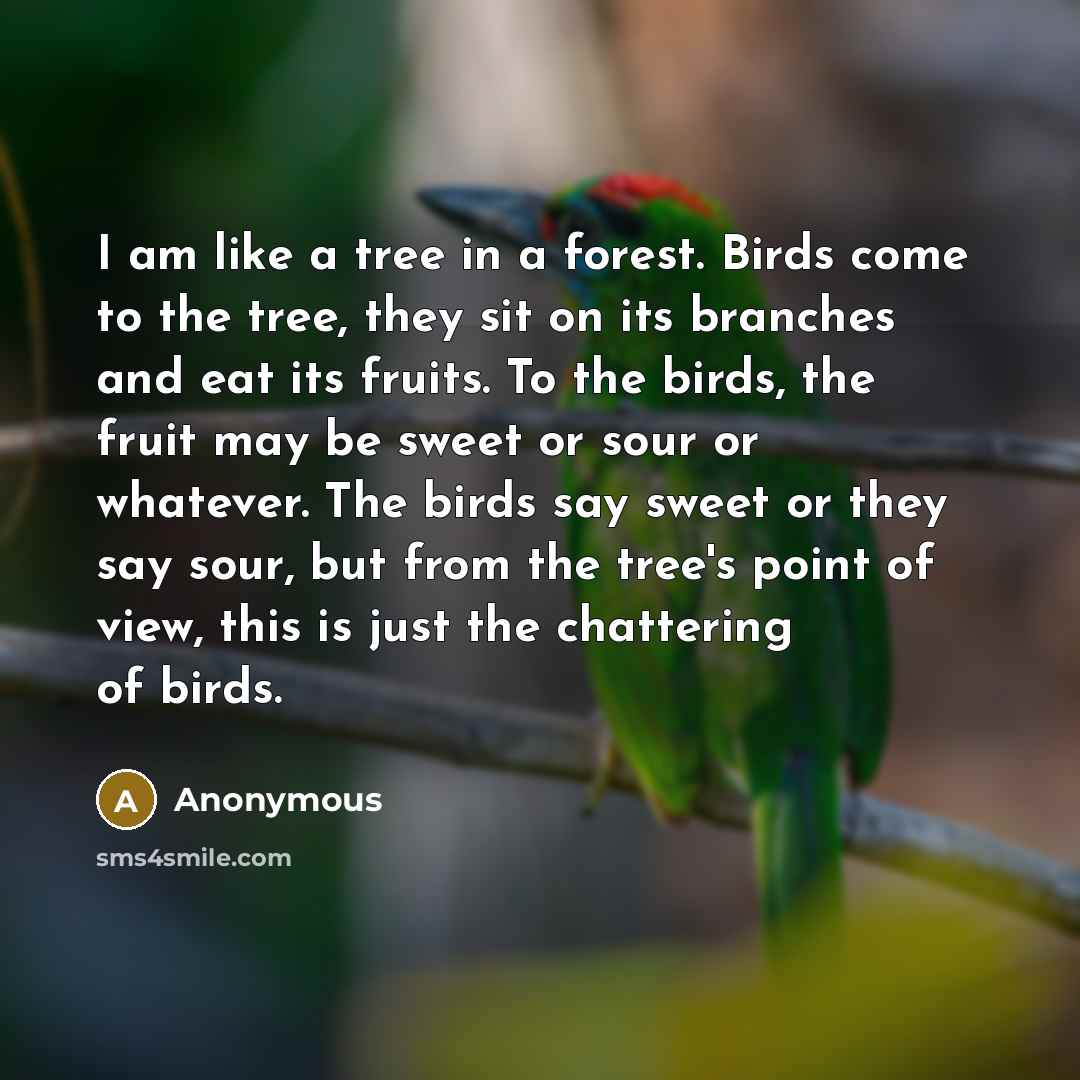 “I am like a tree in a forest. Birds come to the tree, they sit on its branches and eat its fruits. To the birds, the fruit may be sweet or sour or whatever. The birds say sweet or they say sour, but from the tree's point of view, this is just the chattering of birds.” quote by Anonymous