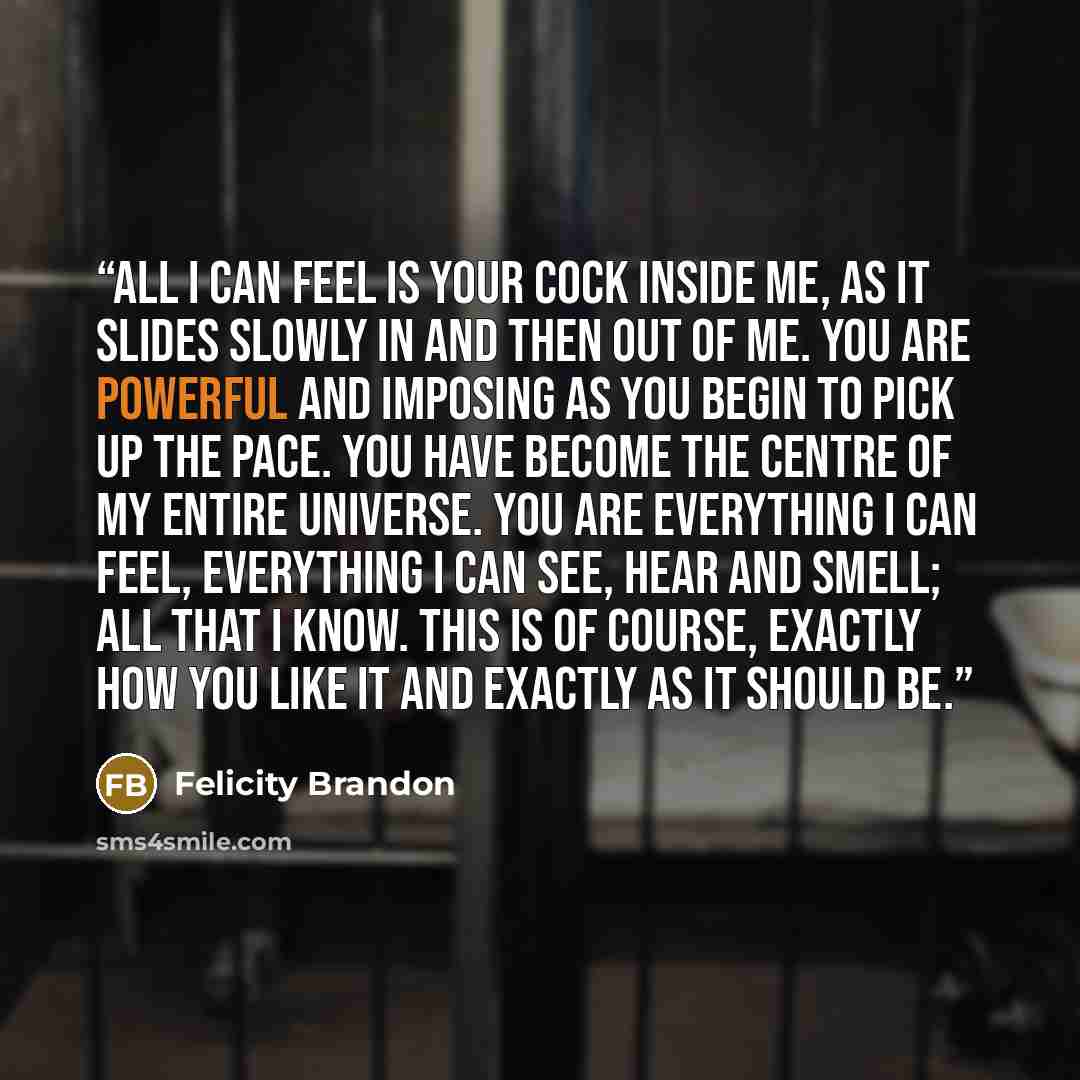 “All I can feel is your cock inside me, as it slides slowly in and then out of me. You are powerful and imposing as you begin to pick up the pace. You have become the centre of my entire universe. You are everything I can feel, everything I can see, hear and smell; all that I know. This is of…” quote by Felicity Brandon