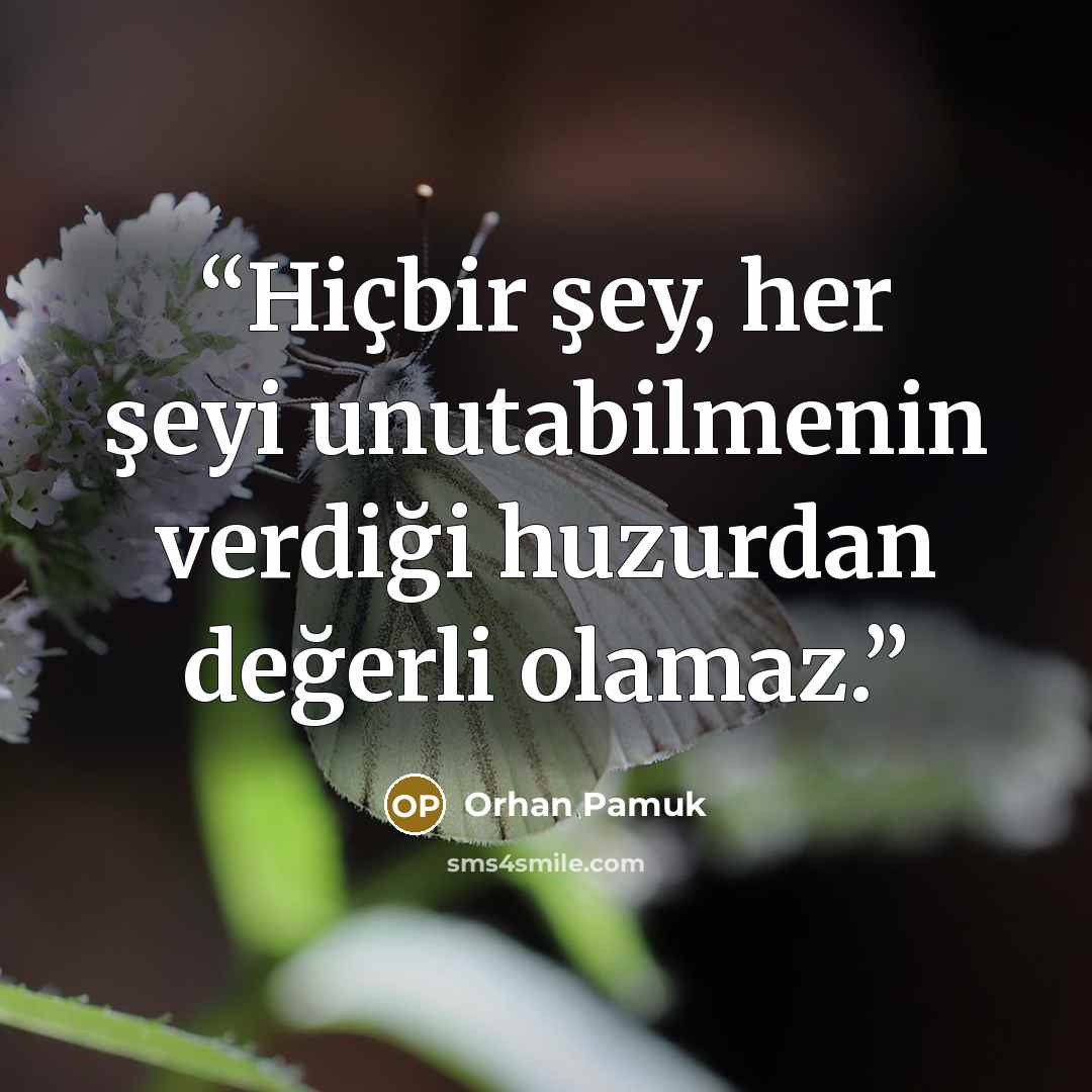 “Hiçbir şey, her şeyi unutabilmenin verdiği huzurdan değerli olamaz.” quote by Orhan Pamuk