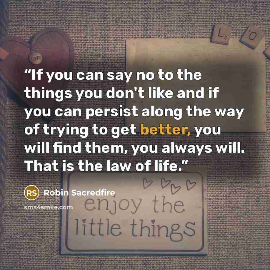 “If you can say no to the things you don't like and if you can persist along the way of trying to get better, you will find them, you always will. That is the law of life.” quote by Robin Sacredfire