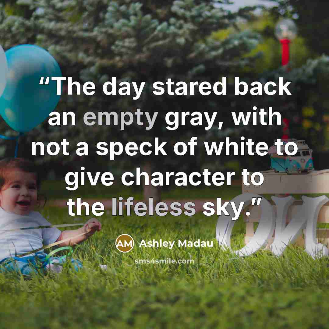 “The day stared back an empty gray, with not a speck of white to give character to the lifeless sky.” quote by Ashley Madau