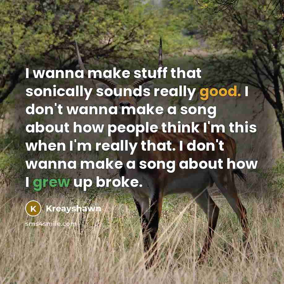 “I wanna make stuff that sonically sounds really good. I don't wanna make a song about how people think I'm this when I'm really that. I don't wanna make a song about how I grew up broke.” quote by Kreayshawn