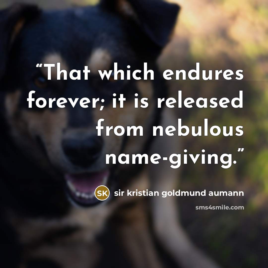 “That which endures forever; it is released from nebulous name-giving.” quote by sir kristian goldmund aumann