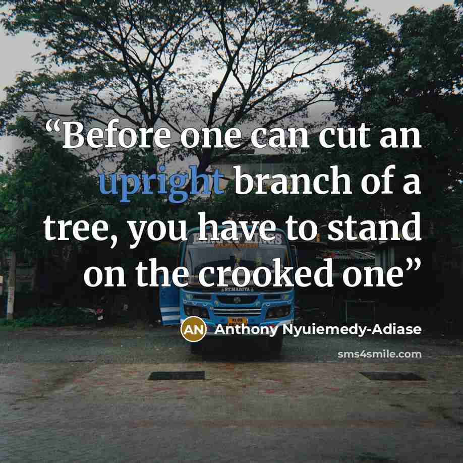 “Before one can cut an upright branch of a tree, you have to stand on the crooked one” quote by Anthony Nyuiemedy-Adiase