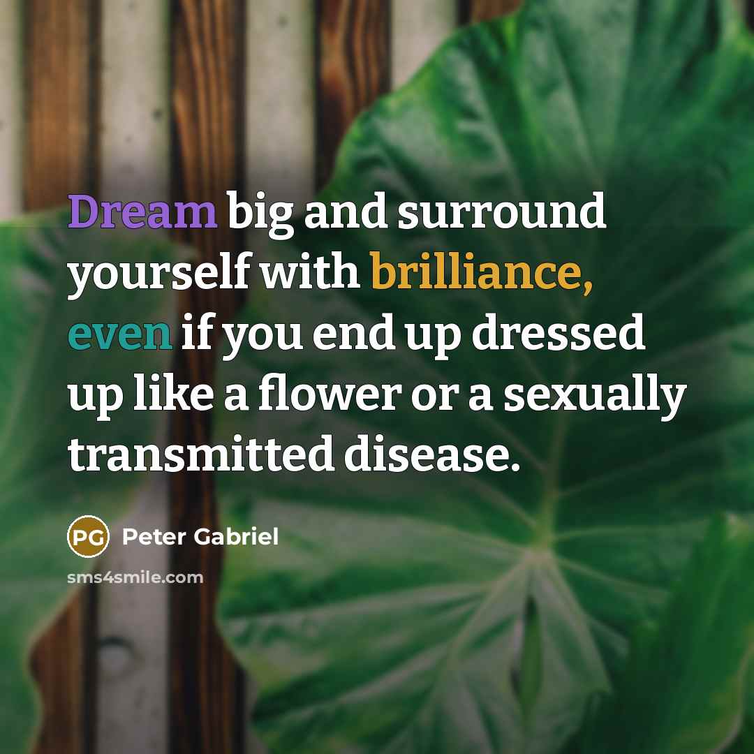 “Dream big and surround yourself with brilliance, even if you end up dressed up like a flower or a sexually transmitted disease.” quote by Peter Gabriel
