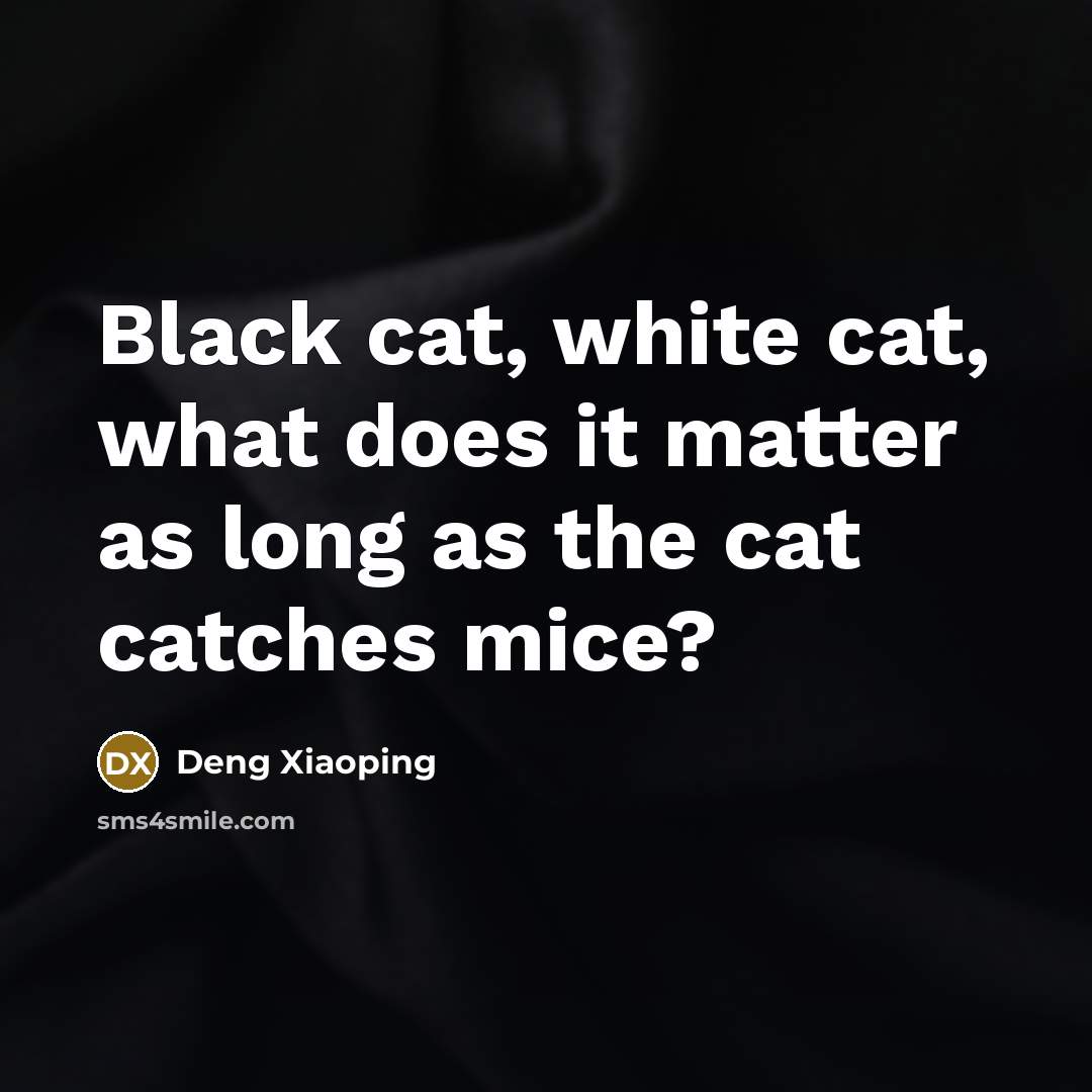 “Black cat, white cat, what does it matter as long as the cat catches mice?” quote by Deng Xiaoping