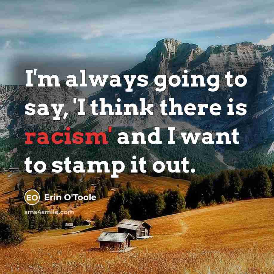 “I'm always going to say, 'I think there is racism' and I want to stamp it out.” quote by Erin O'Toole