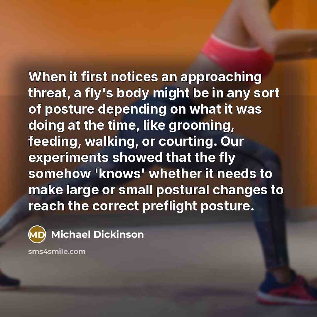 “When it first notices an approaching threat, a fly's body might be in any sort of posture depending on what it was doing at the time, like grooming, feeding, walking, or courting. Our experiments showed that the fly somehow 'knows' whether it needs to make large or small postural changes to reach…” quote by Michael Dickinson