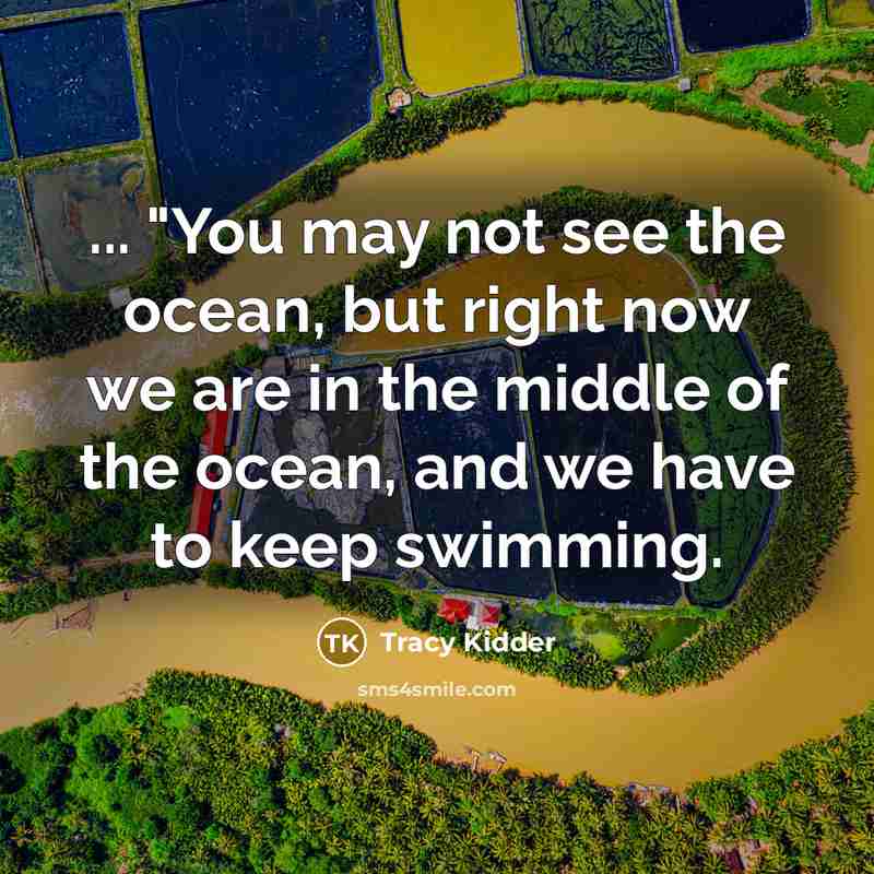 “... "You may not see the ocean, but right now we are in the middle of the ocean, and we have to keep swimming.” quote by Tracy Kidder