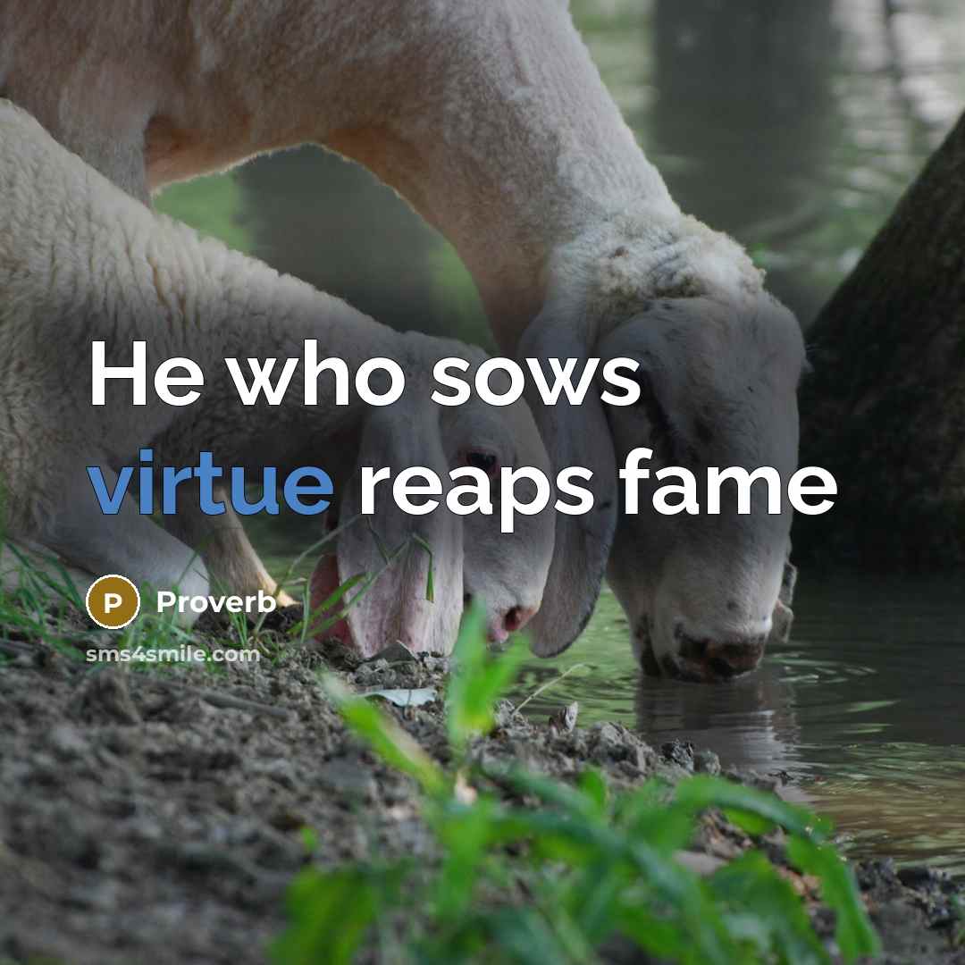 “He who sows virtue reaps fame” quote by Proverb